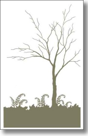 Exemlar-GardenTemplates c Exemlar GardenTemplates c