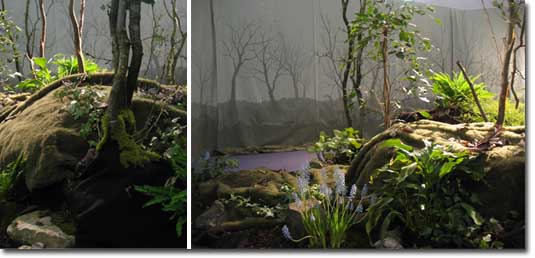 GardenInfo01